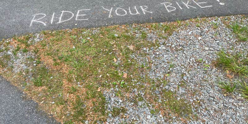 Camper submitted image from Pisgah National Forest Davidson River Campground