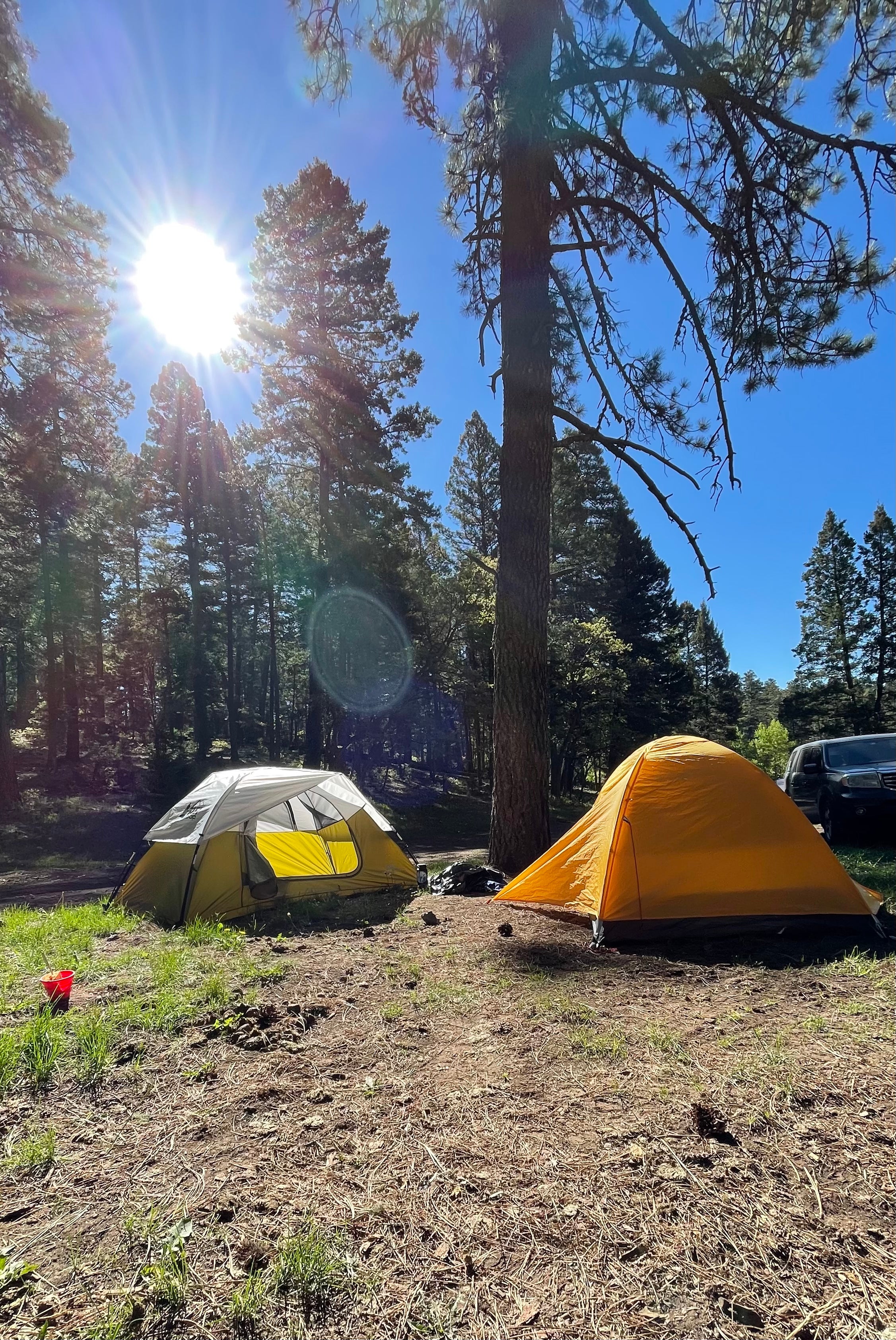 Camper submitted image from Forest Road 568 - Dispersed Camping - 1