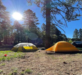 Camper-submitted photo from Forest Road 568 - Dispersed Camping