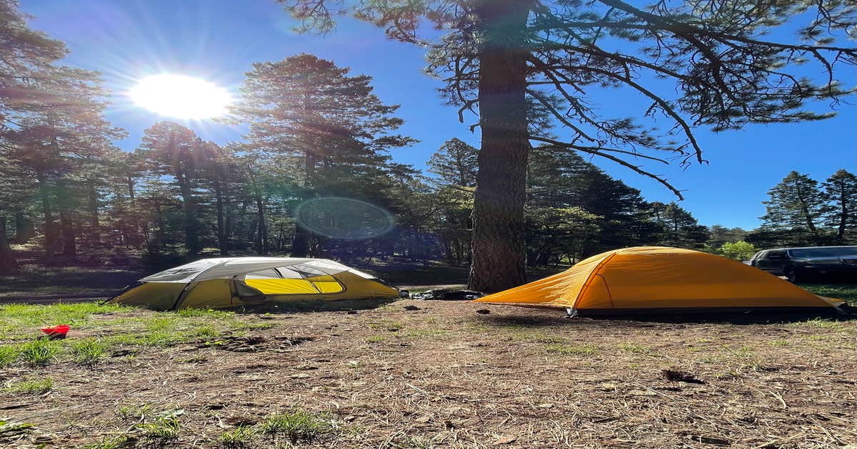 Forest Road 568 Dispersed Camping Cloudcroft, NM