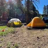 Review photo of Forest Road 568 - Dispersed Camping by Peyton F., May 25, 2021