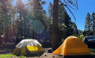 Peyton F.'s photo at Forest Road 568 - Dispersed Camping in New Mexico