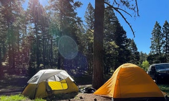 Forest Road 568 - Dispersed Camping