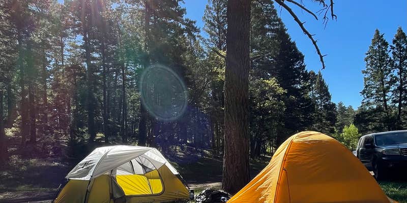 Camper submitted image from Forest Road 568 - Dispersed Camping