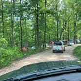 Review photo of Ozark Campground — Buffalo National River by Bruce F., May 25, 2021