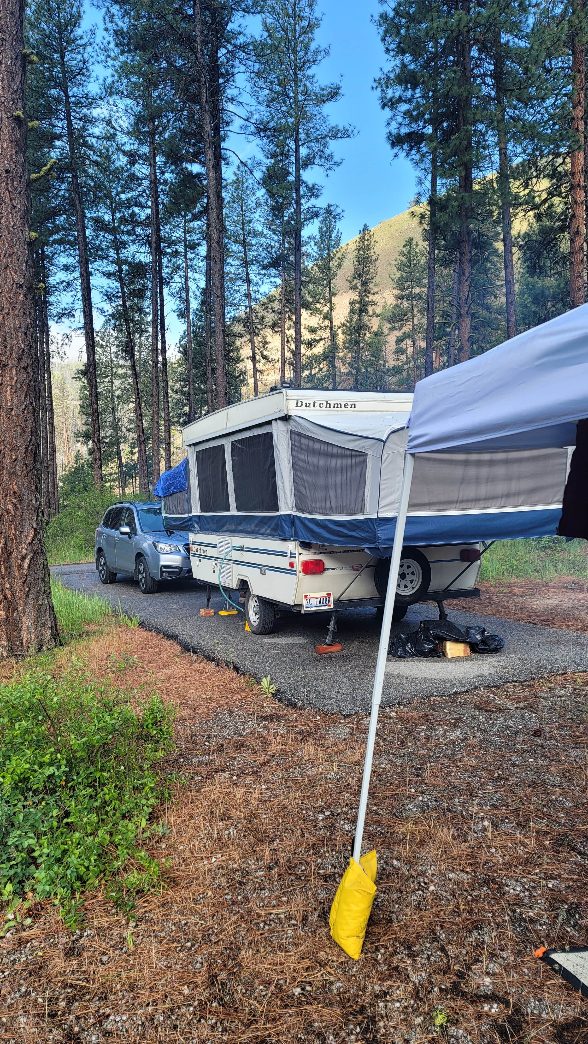 Pine Flats Campground The Dyrt