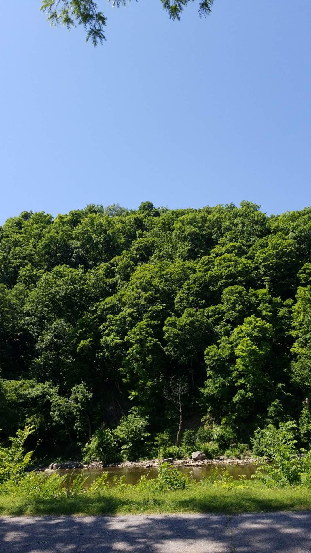 Camper-submitted photo at Spavinaw — Grand Lake State Park near Disney, OK