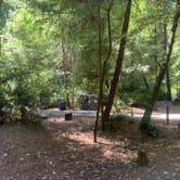 Review photo of Richardson Grove State Park Campground by Toni  K., May 25, 2021