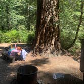 Review photo of Richardson Grove State Park Campground by Toni  K., May 25, 2021