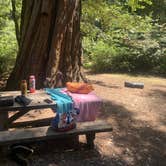 Review photo of Richardson Grove State Park Campground by Toni  K., May 25, 2021