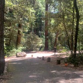Review photo of Richardson Grove State Park Campground by Toni  K., May 25, 2021