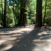 Review photo of Richardson Grove State Park Campground by Toni  K., May 25, 2021