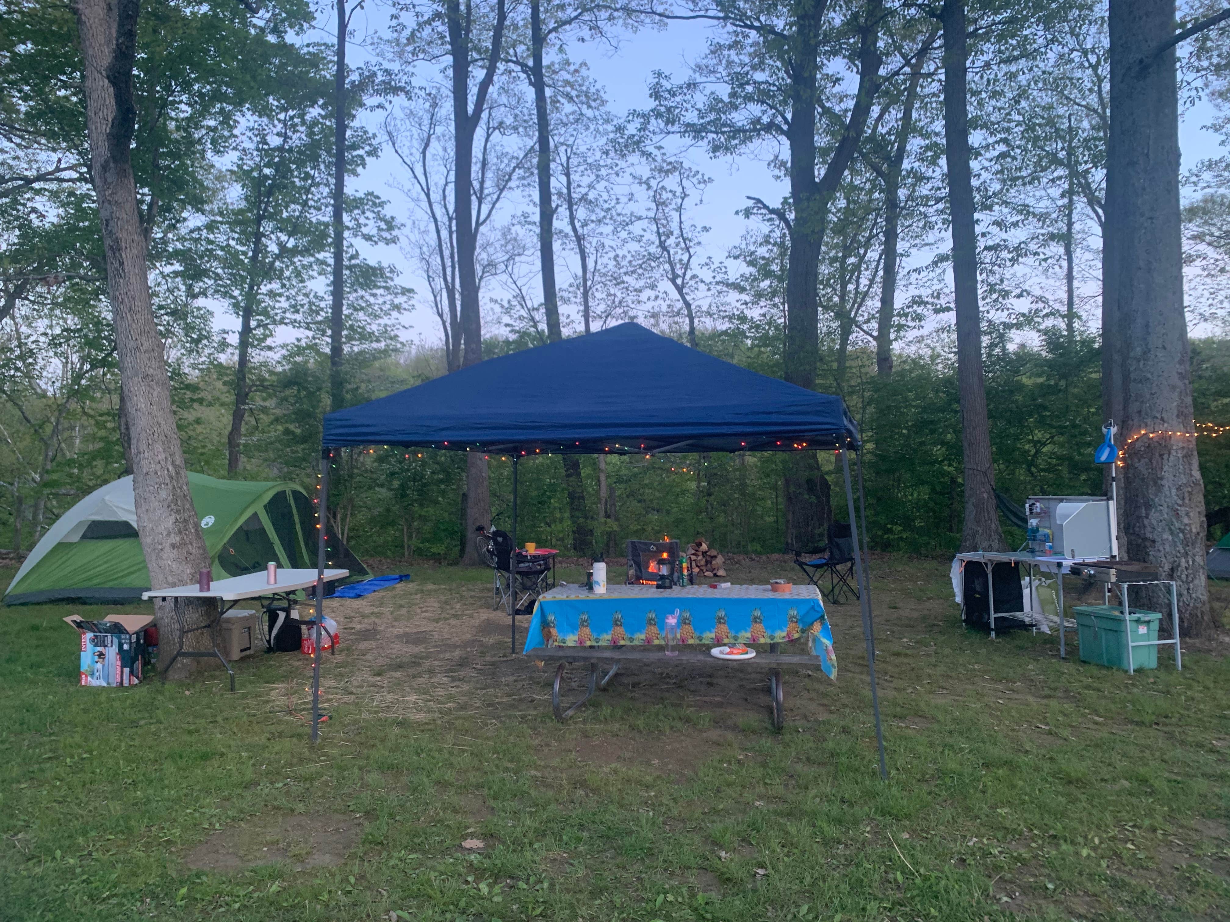 Maddy B.'s photo at Hueston Woods State Park Campground near Brookville, OH