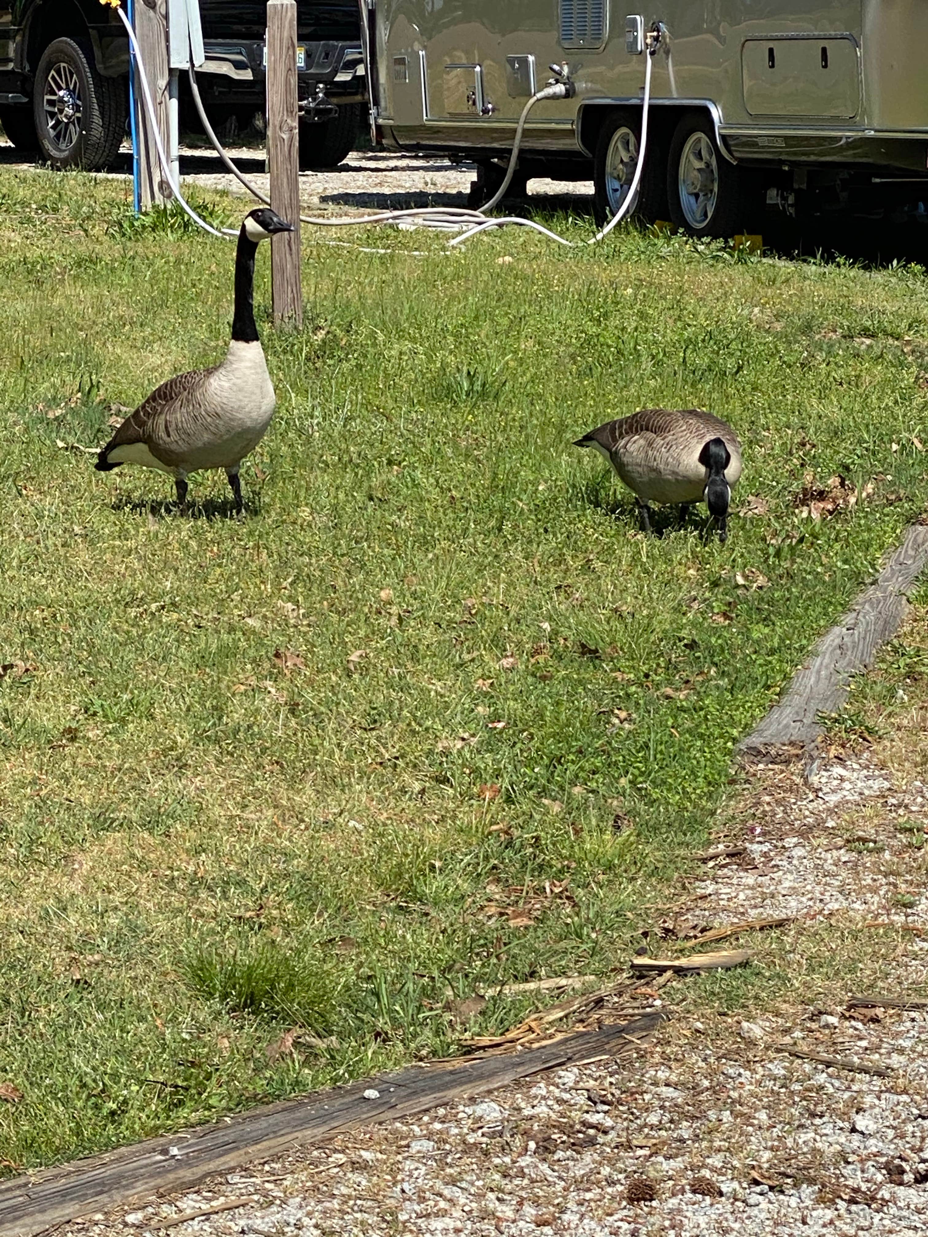 Camper-submitted photo at Elijah Clark State Park Campground near Aiken, SC