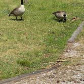 Review photo of Elijah Clark State Park Campground by Rainey L., May 25, 2021