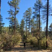 Review photo of White Spar Campground by Don M., May 26, 2021