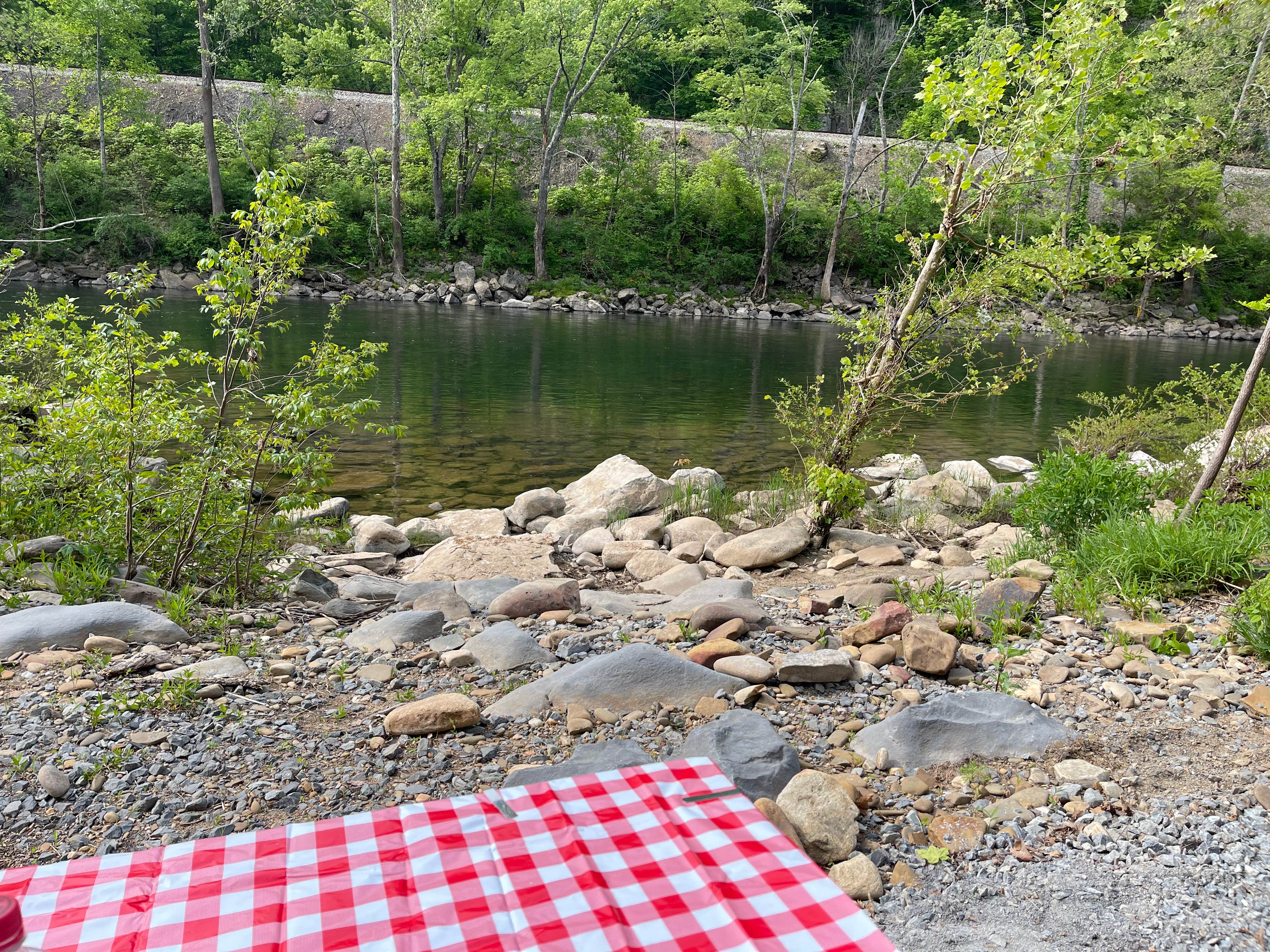 Camper submitted image from Greenbrier River Campground - 1