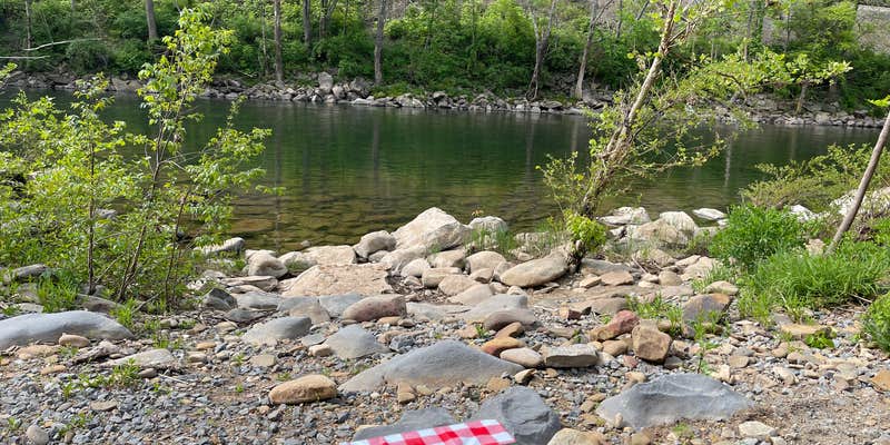 Camper submitted image from Greenbrier River Campground