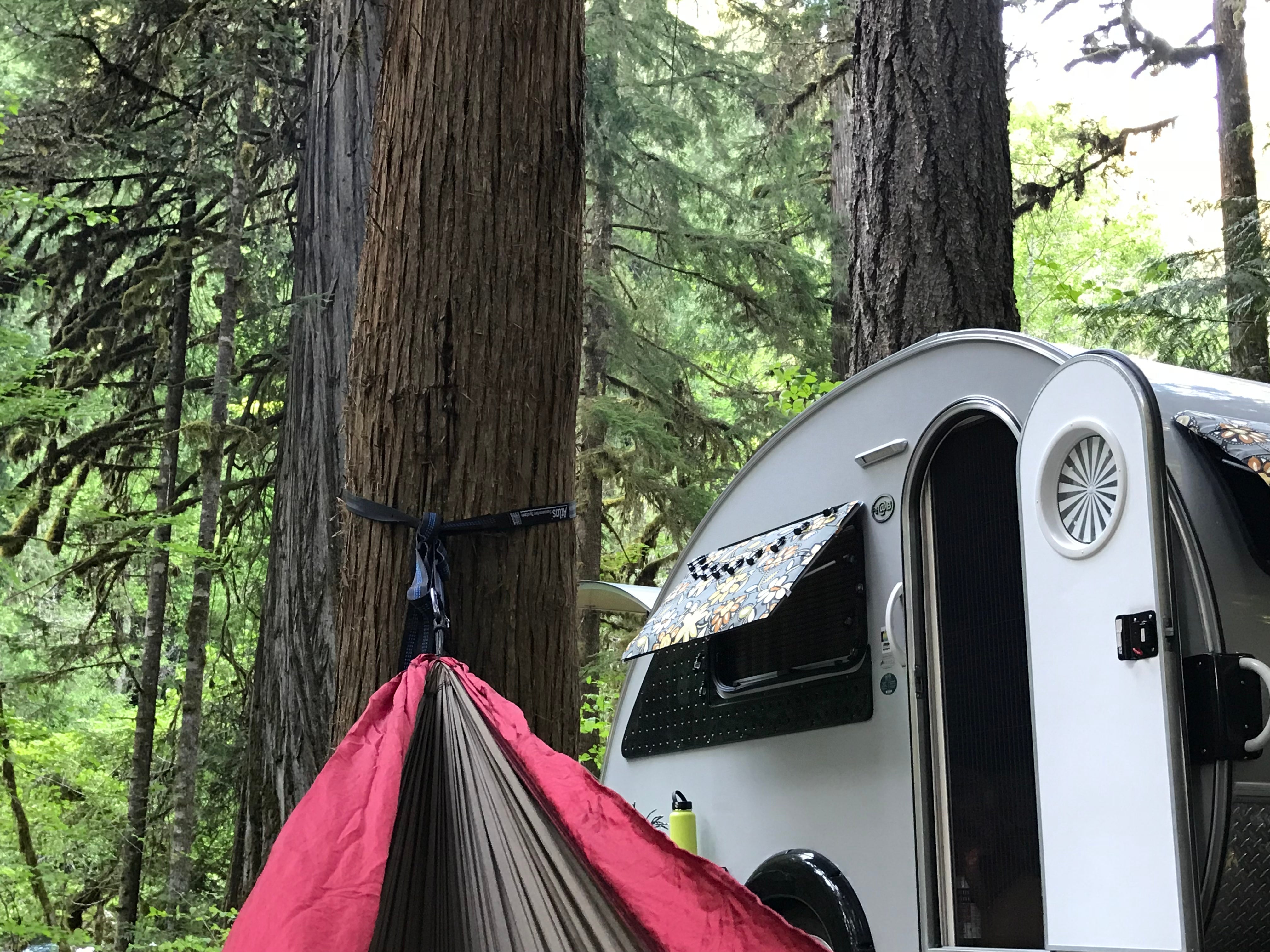 Camper submitted image from Paradise In Oregon - 4