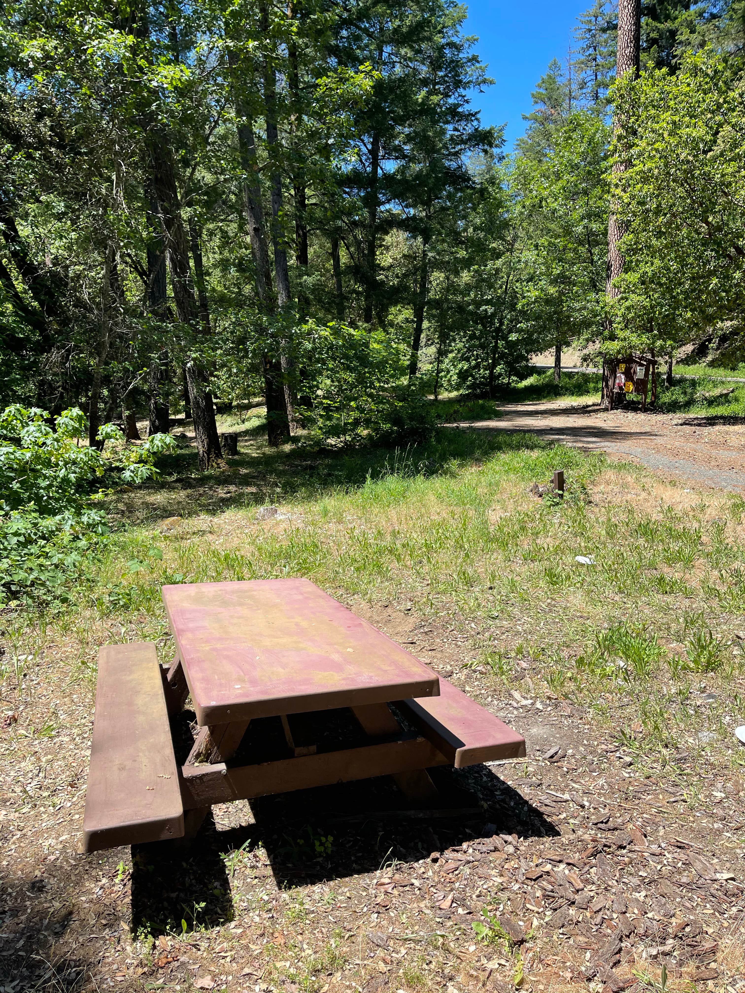 Camper submitted image from Trinity National Forest Big Bar Campground - 4