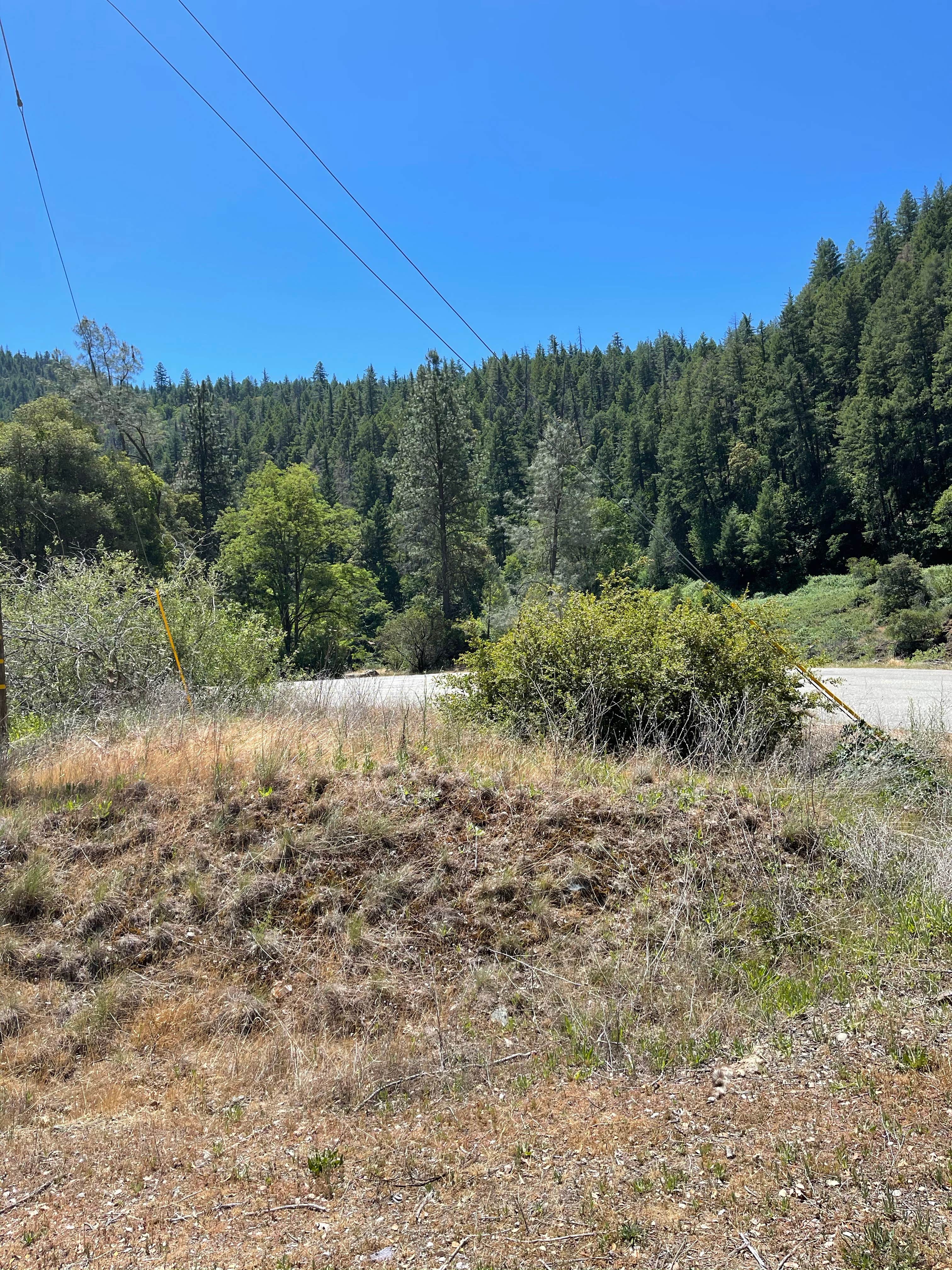 Camper-submitted photo at Trinity National Forest Big Bar Campground near Hayfork, CA