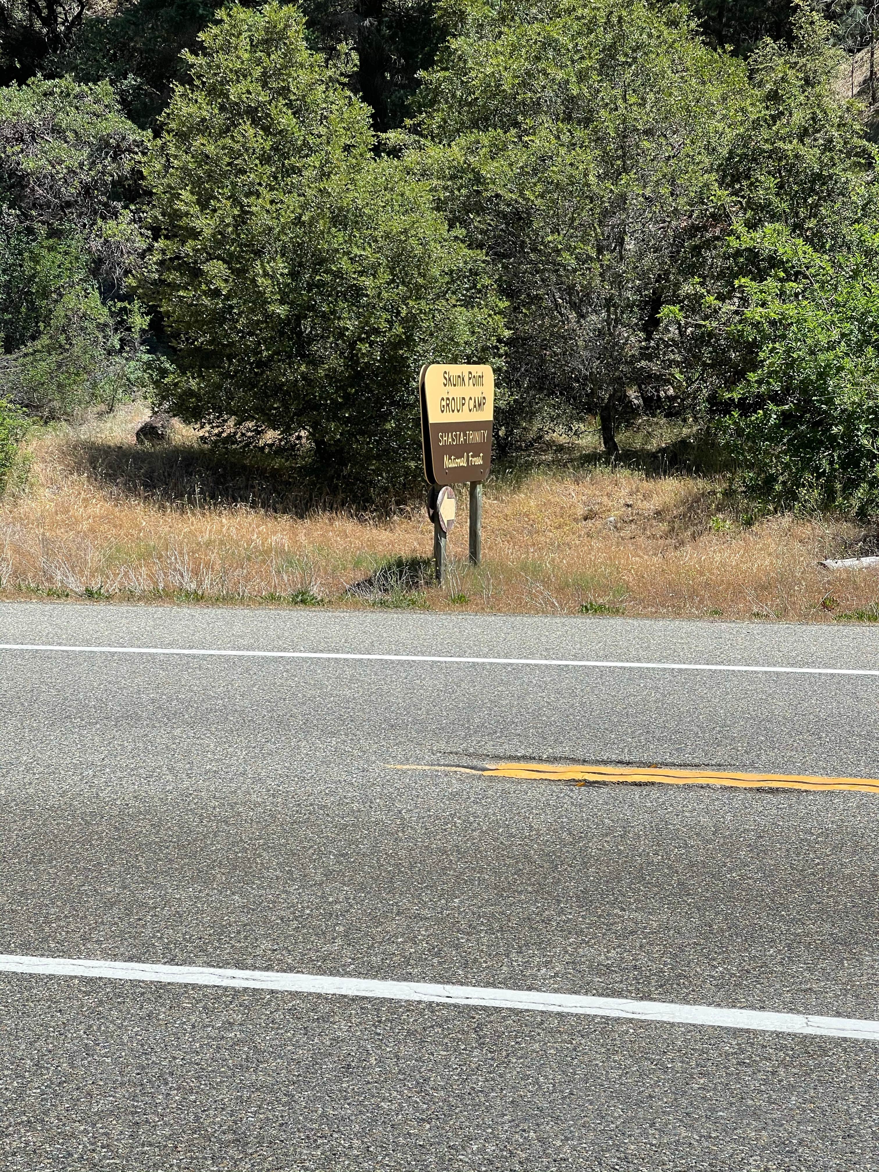 Camper submitted image from Skunk Point Group Campground — Shasta Trinity National Forest - 3