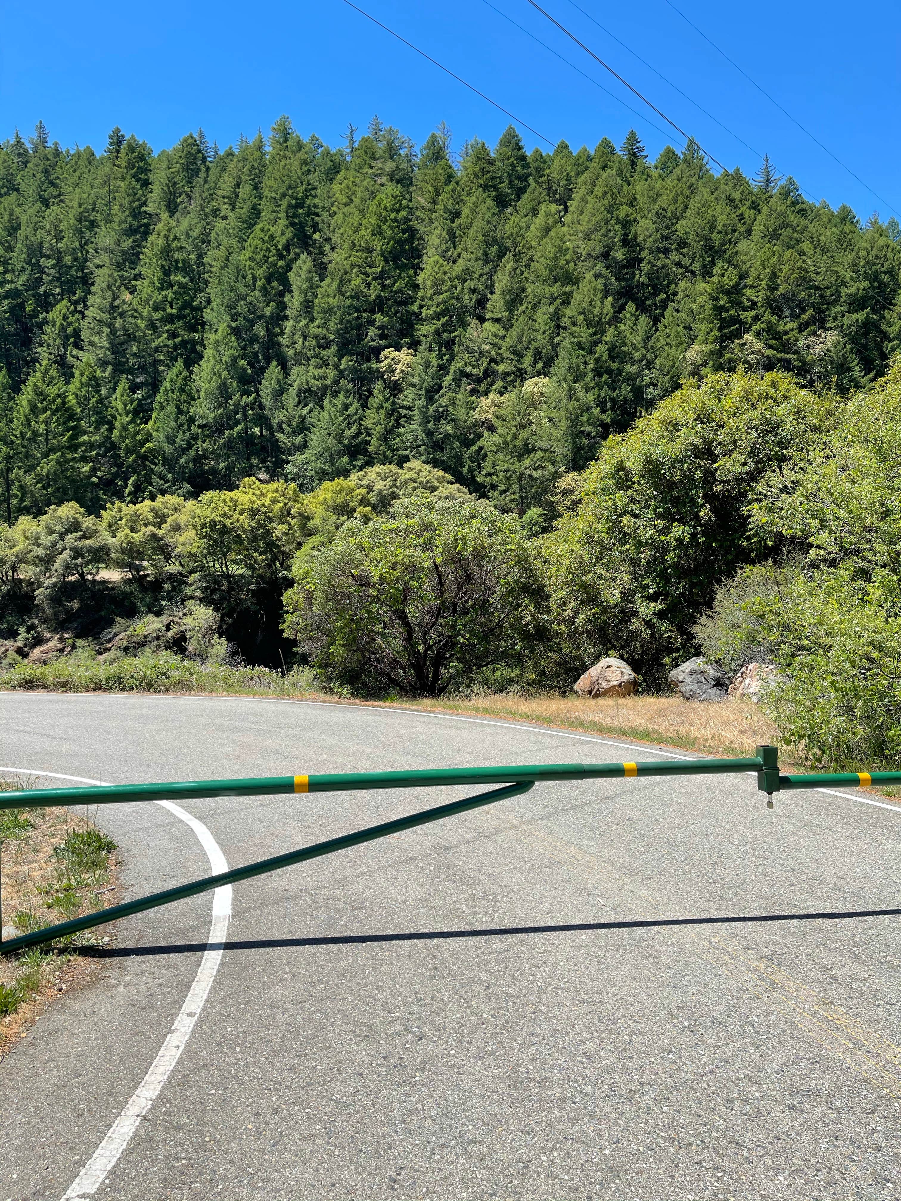 Camper submitted image from Skunk Point Group Campground — Shasta Trinity National Forest - 4