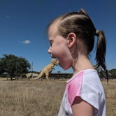 Review photo of Dinosaur Valley State Park — Dinosaur Valley State Park by Jamey W., May 26, 2021