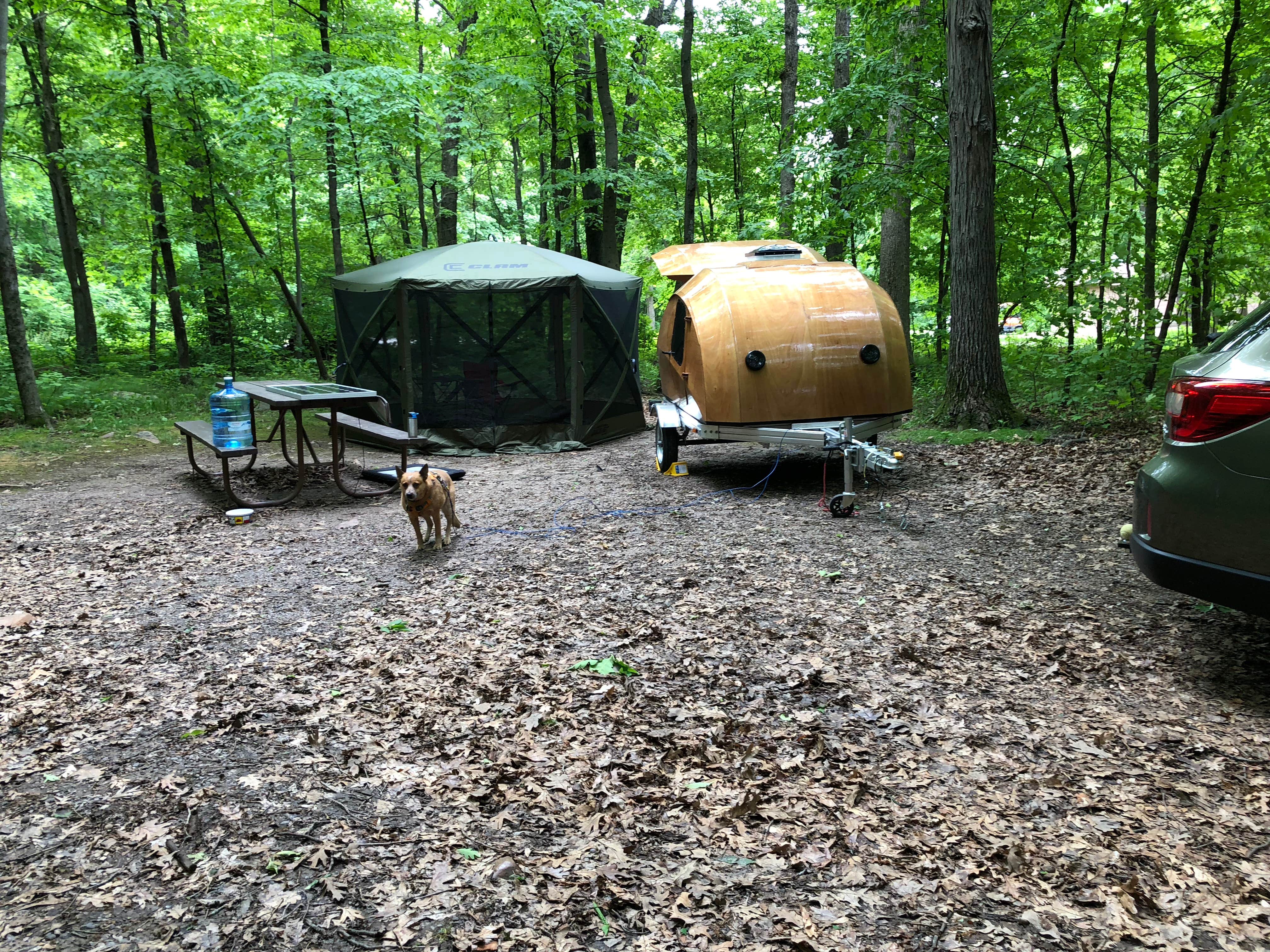 Art S.'s photo at Ice Age Campground — Devils Lake State Park near Prairie du Sac, WI