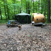 Review photo of Ice Age Campground — Devils Lake State Park by Art S., June 5, 2018