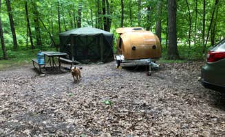Art S.'s photo at Ice Age Campground — Devils Lake State Park near Baraboo, WI