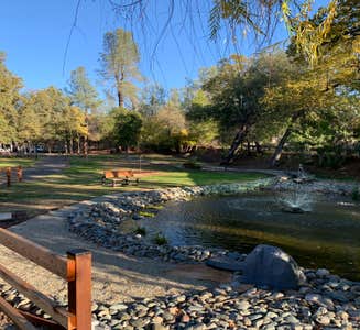 Camper-submitted photo from Brandy Creek RV Campground — Whiskeytown-Shasta-Trinity National Recreation Area