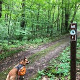 Review photo of Ice Age Campground — Devils Lake State Park by Art S., June 5, 2018