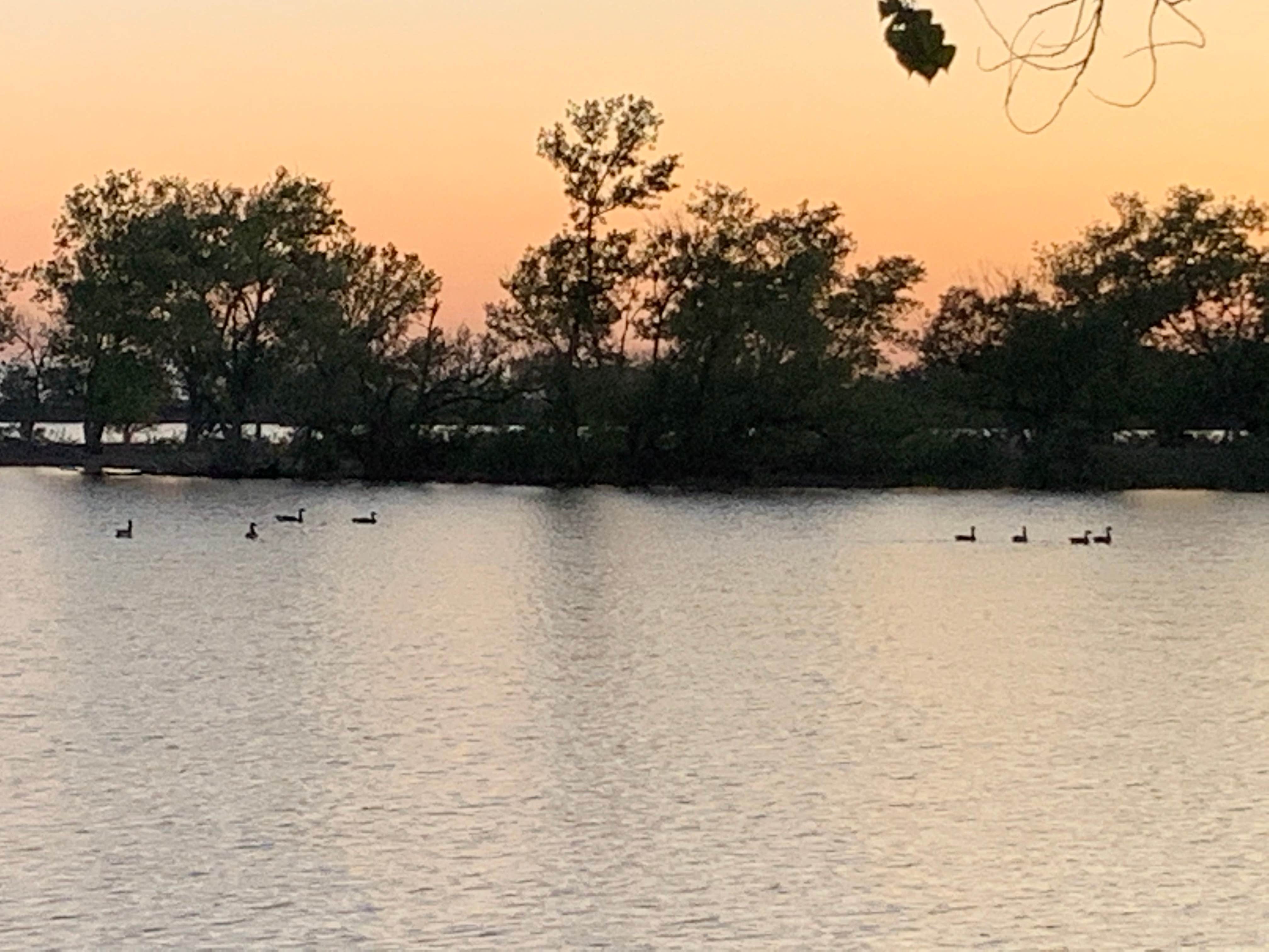 Camper-submitted photo at 36 W Motel and RV Campground near Cisco, TX