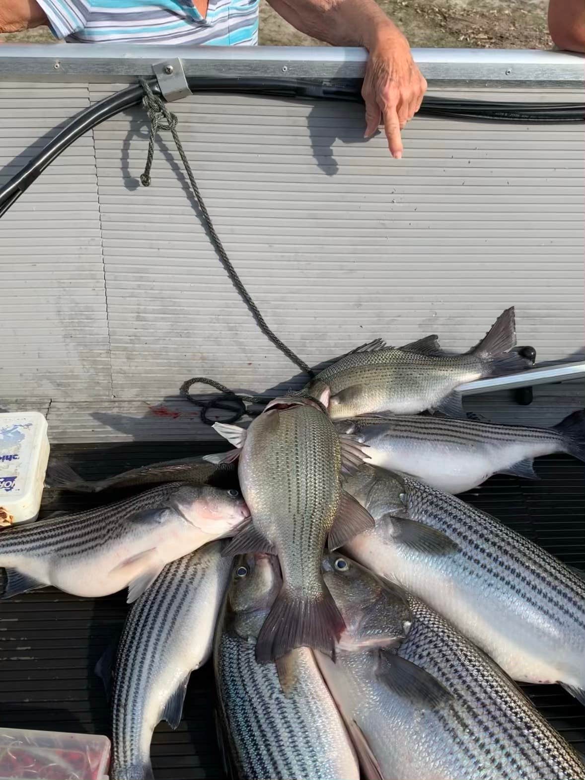 Camper-submitted photo at Ed and Bernices Fish Camp and RV Park near Cairo, GA