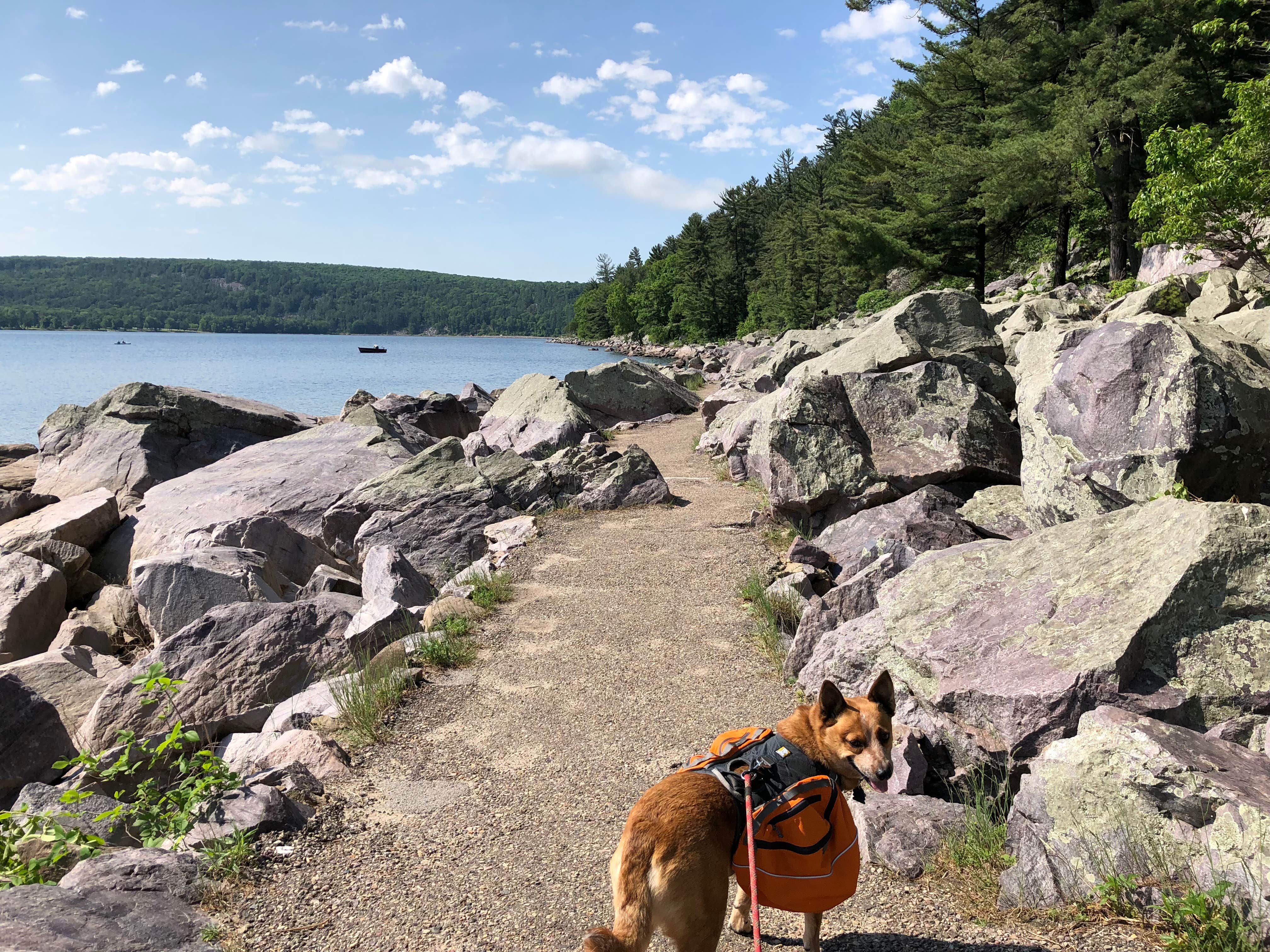Art S.'s photo of camping with pets at Ice Age Campground — Devils Lake State Park in Wisconsin