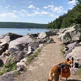 Review photo of Ice Age - Devils Lake State Park by Art S., June 5, 2018