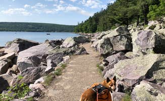 Art S.'s photo of camping with pets at Ice Age Campground — Devils Lake State Park near Merrimac, WI