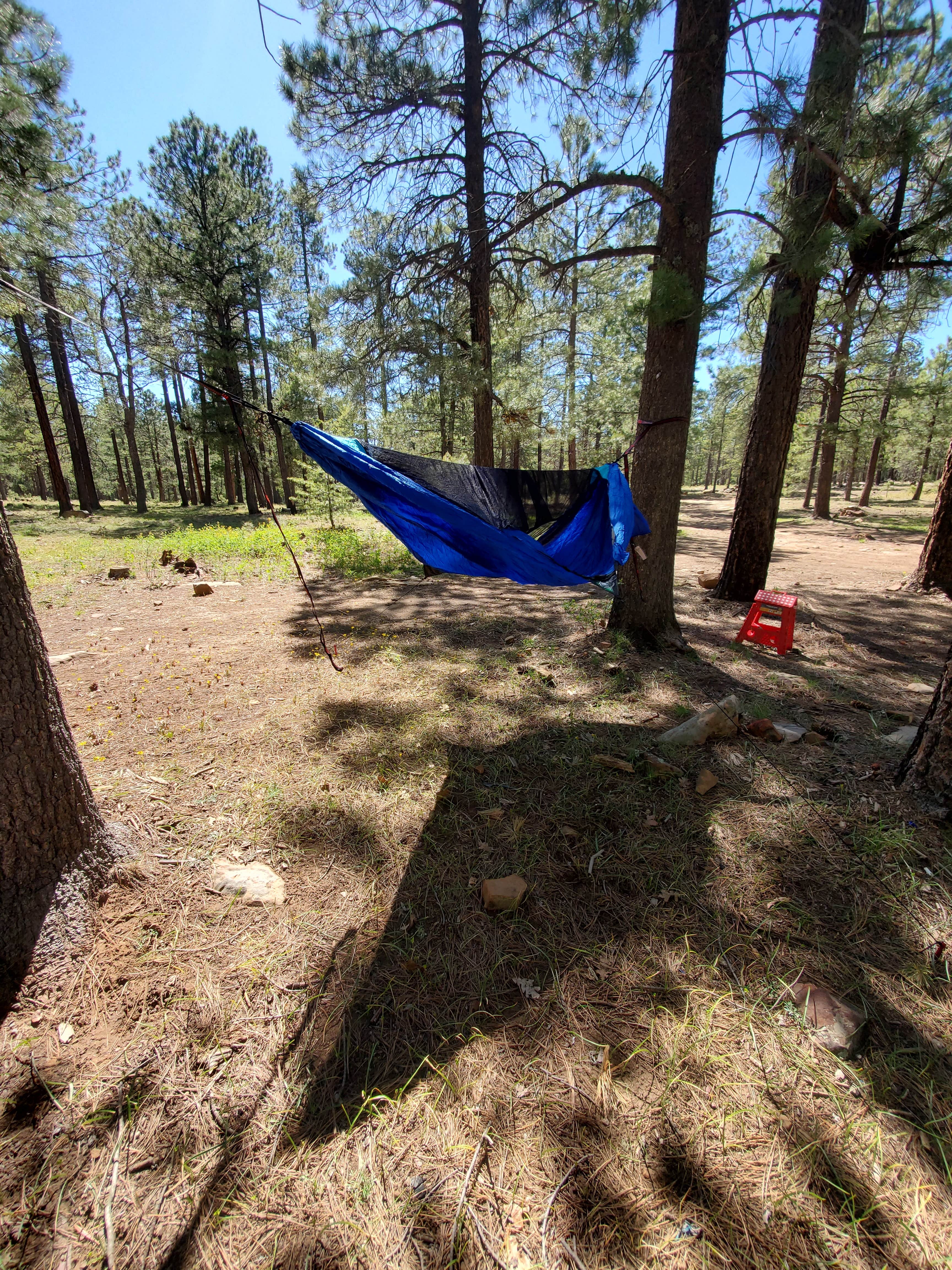 Camper submitted image from Fr 66 - 5