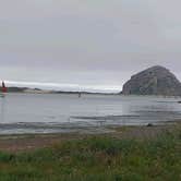 Review photo of Morro Bay State Park Campground by Lady L., May 18, 2021