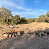 Review photo of Sante Fe National Forest BLM-Road 62 Dispersed by Matt P., May 26, 2021