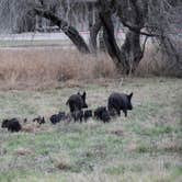 Review photo of Choke Canyon State Park Campground by Cathy J., May 26, 2021