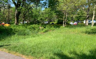 Alexandra T.'s photo at Big Meadows Campground — Shenandoah National Park near Shenandoah National Park
