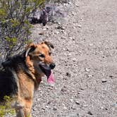 Review photo of Interior Primitive Sites — Big Bend Ranch State Park by Cathy J., May 26, 2021