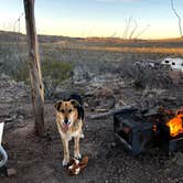 Review photo of Interior Primitive Sites — Big Bend Ranch State Park by Cathy J., May 26, 2021