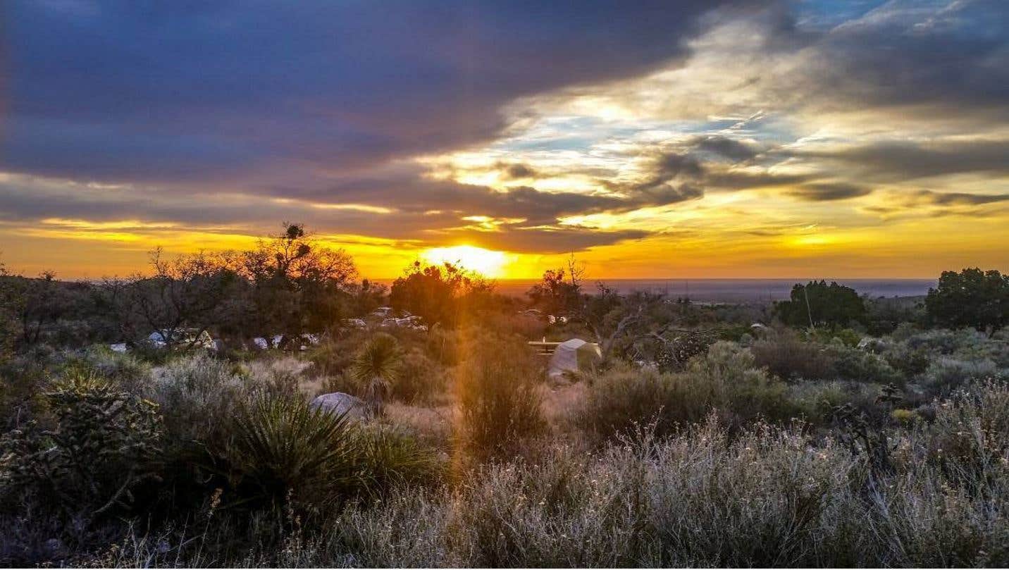 Camper submitted image from Pine Springs Campground - 2
