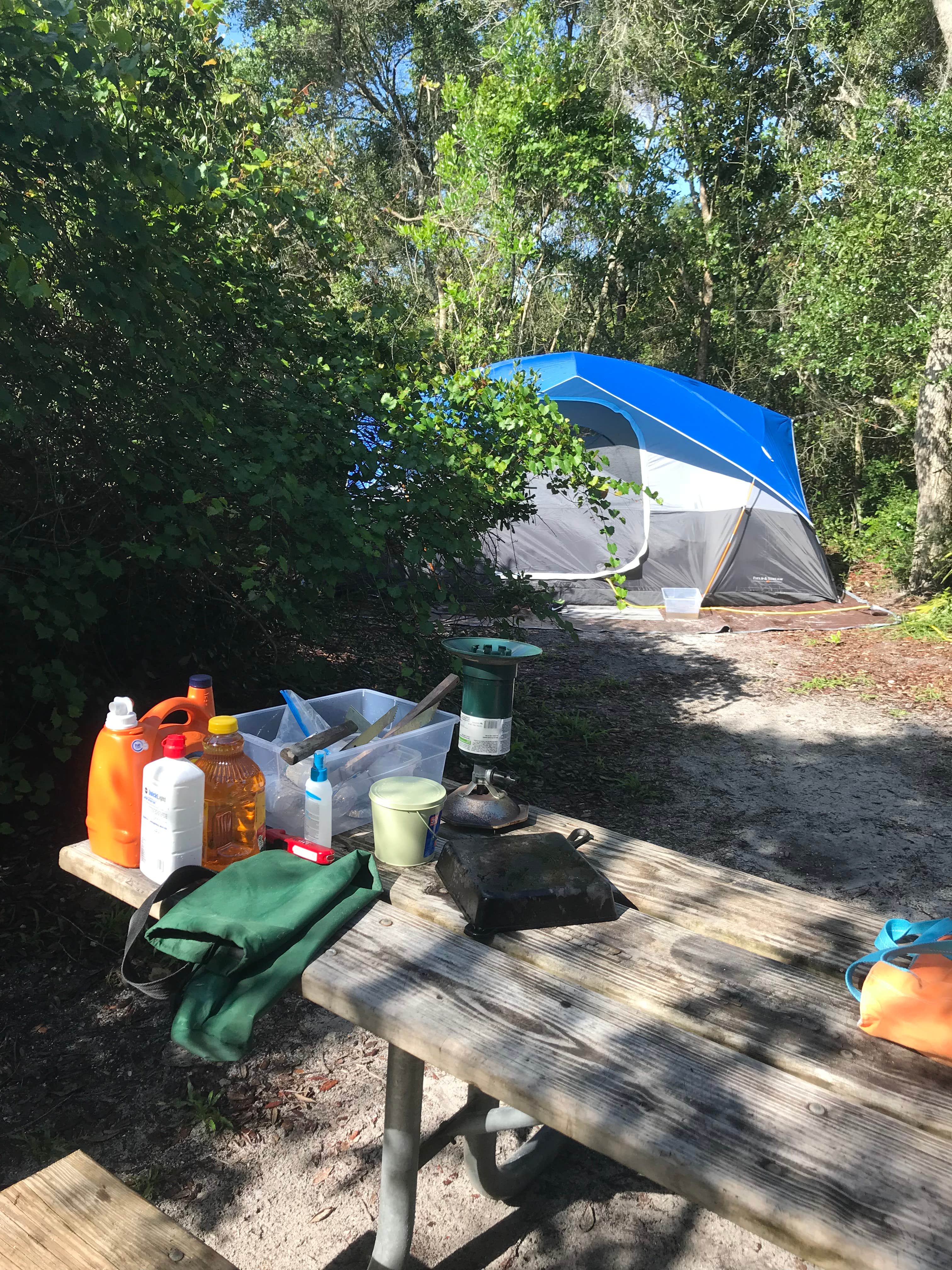 Camper submitted image from Blue Spring State Park Campground - 4