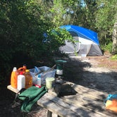Review photo of Blue Spring State Park Campground by Heather M., June 5, 2018