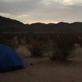 Review photo of Blair Valley Primitive Campground — Anza-Borrego Desert State Park by Nicholas H., May 26, 2021