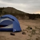 Review photo of Blair Valley Primitive Campground — Anza-Borrego Desert State Park by Nicholas H., May 26, 2021